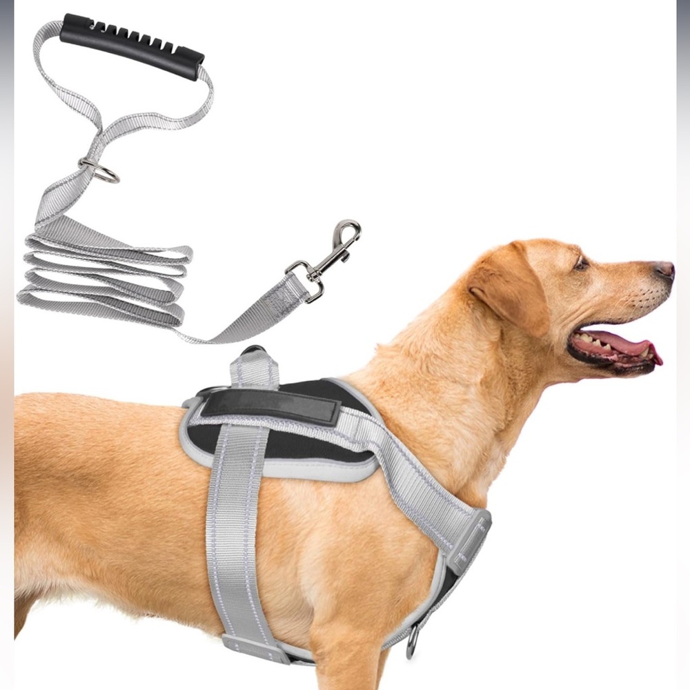 Medium Dog Vest Harness and Leash Medium Sized Dog No Pull Training Service Dog